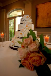 Weddings photograph 86 from Chris Springer’s portfolio
